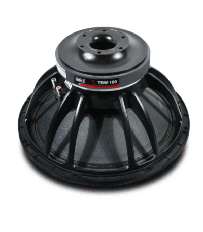TBW-100 DJ Speaker