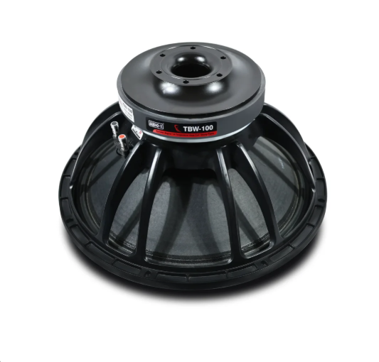 TBW-100 DJ Speaker